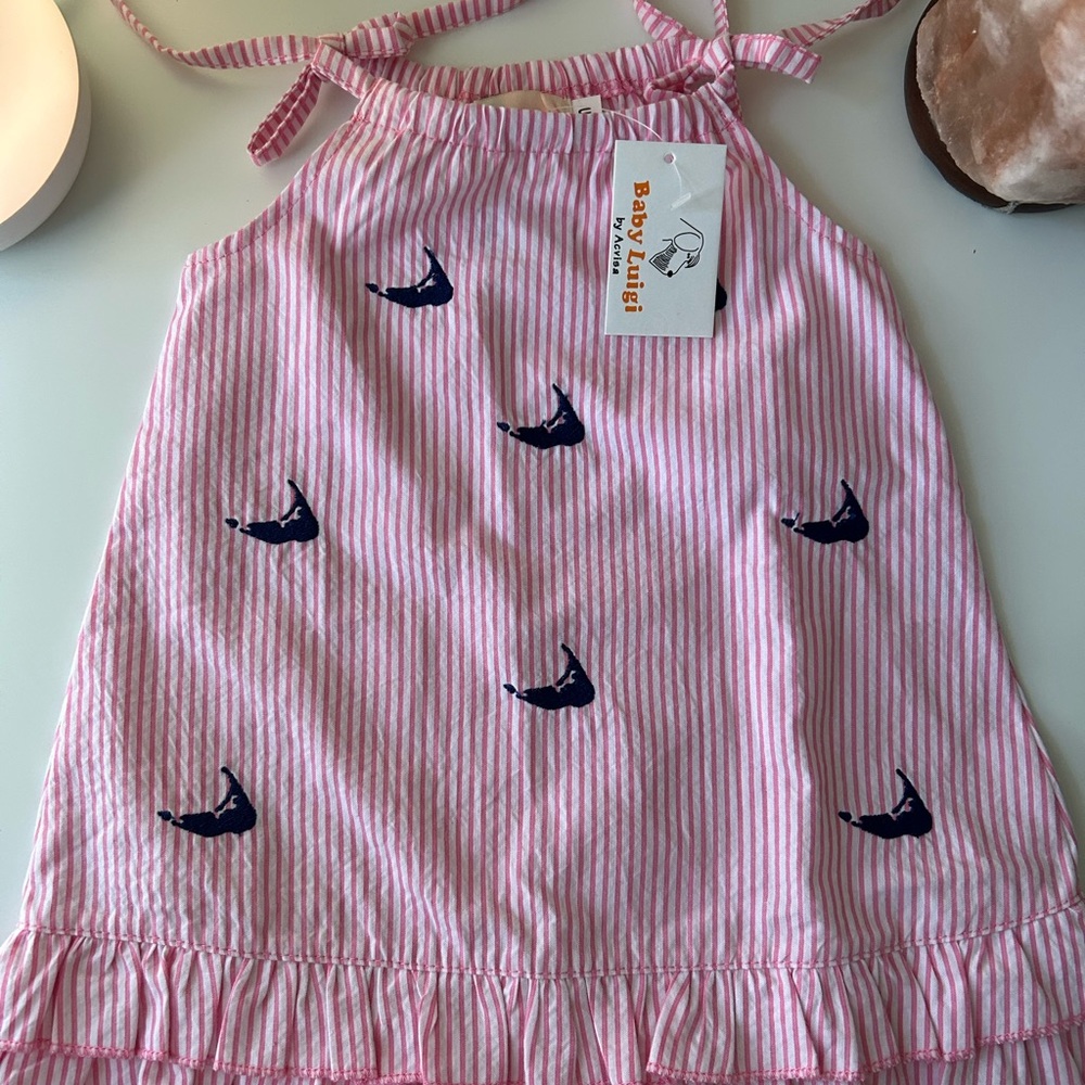 6M Baby Luigi Pink Striped Dress with Nantucket Island Print